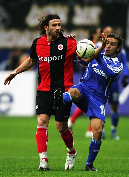 他们在本赛 他们在本赛